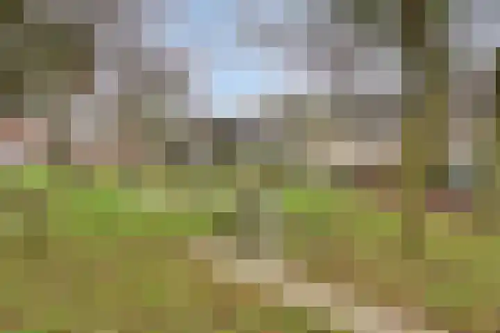 Beukweg 6 Deventer thumbnail 31