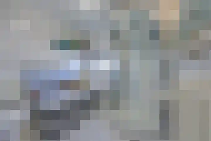 Beulakerwiede 21 Lelystad thumbnail 5