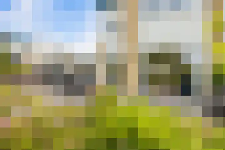 Beulakerwiede 26 Lelystad thumbnail 13