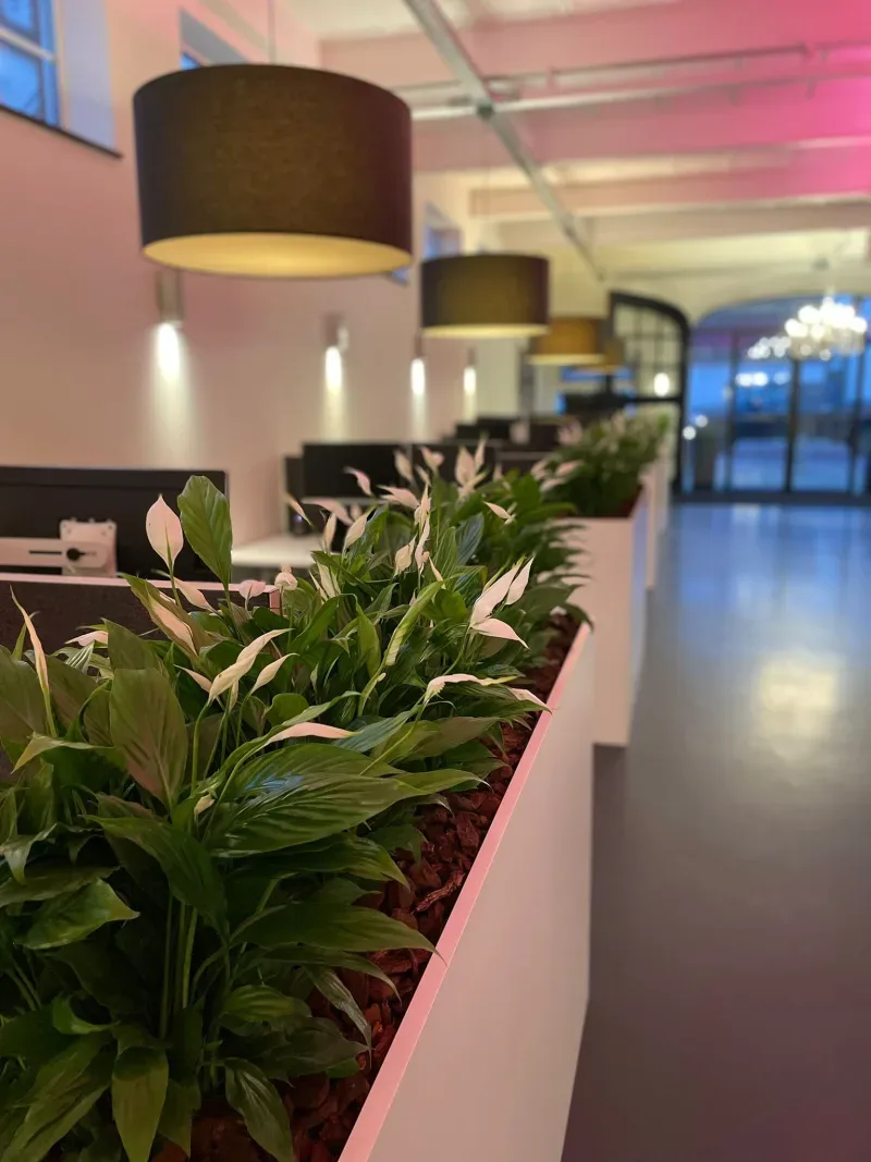 Office photo of Beumer De Meern