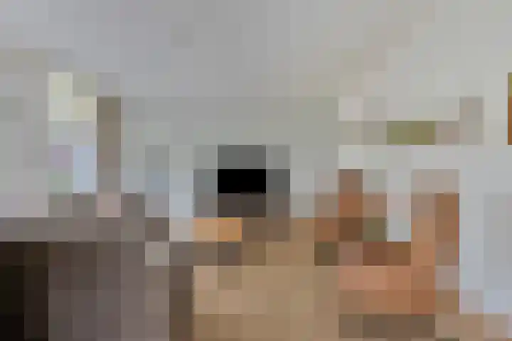 Team photo of Beumer De Meern