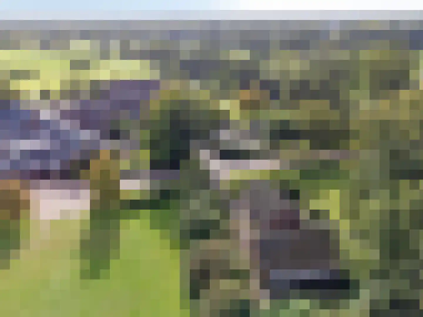 Beuningerstraat 5 de Lutte thumbnail 12