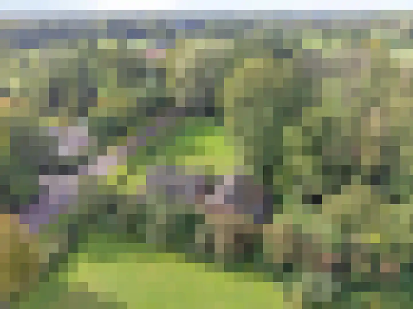 Beuningerstraat 5 de Lutte thumbnail 13