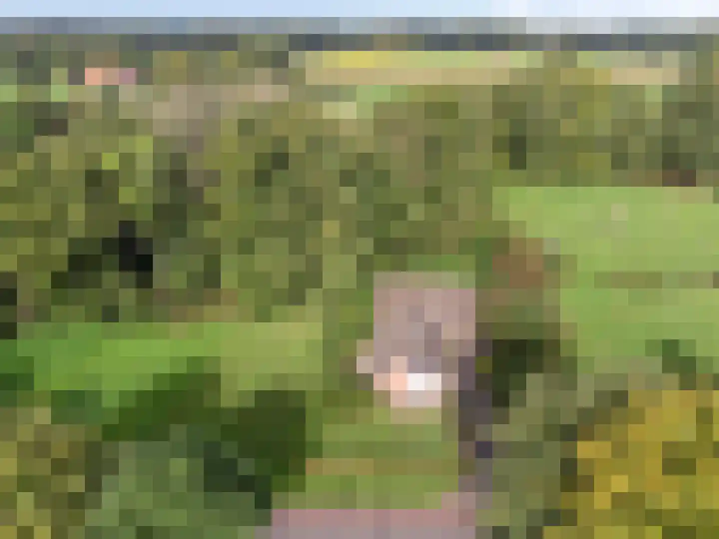 Beuningerstraat 5 de Lutte thumbnail 8