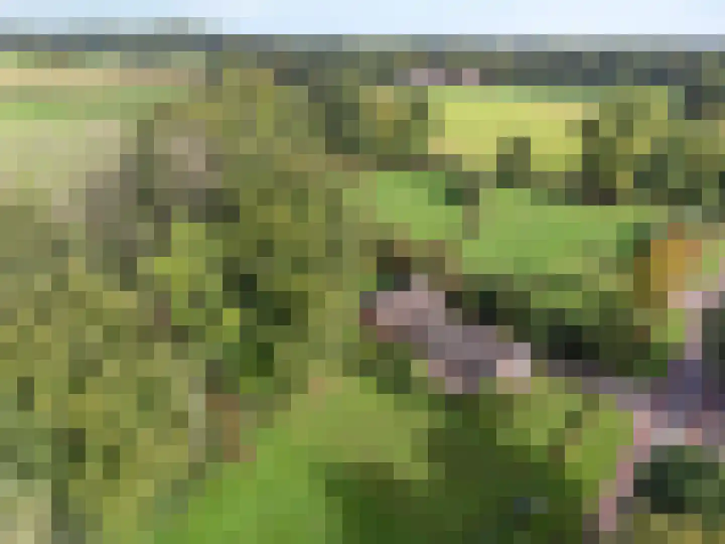 Beuningerstraat 5 de Lutte thumbnail 9