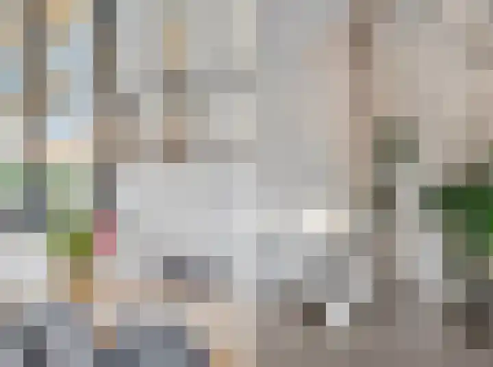 Beuningsesteeg 17 Wijchen thumbnail 14