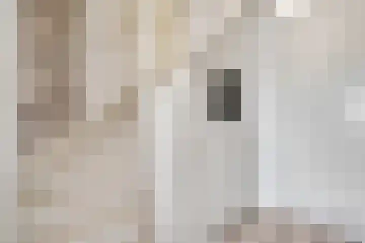Beuningsesteeg 17 Wijchen thumbnail 24