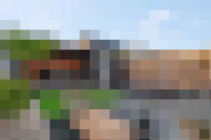 Beuningsesteeg 17 Wijchen thumbnail 30