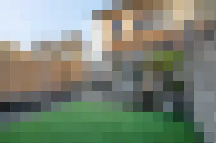 Beuningsesteeg 17 Wijchen thumbnail 32