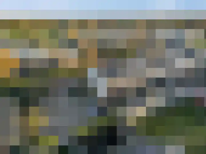 Beuningsesteeg 17 Wijchen thumbnail 37