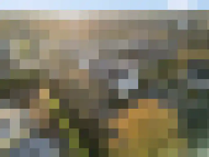 Beuningsesteeg 17 Wijchen thumbnail 38