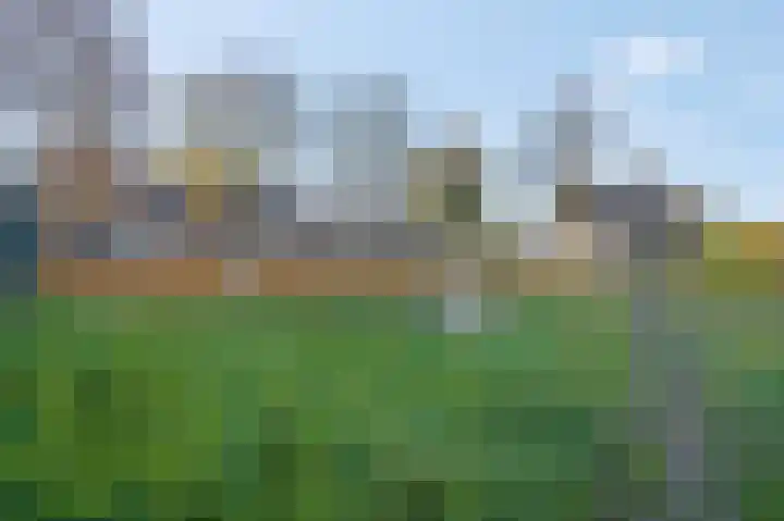 Beuningsesteeg 17 Wijchen thumbnail 42