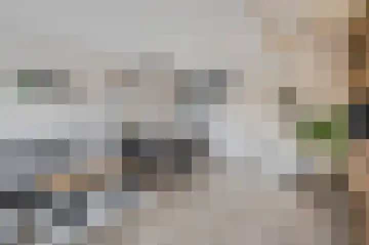 Beuningsesteeg 17 Wijchen thumbnail 6