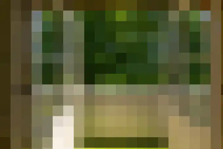 Beusebergerweg 31 Holten thumbnail 39
