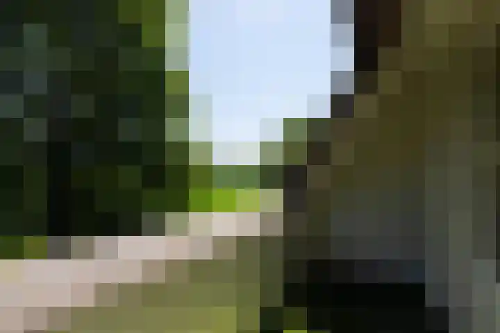 Beusebergerweg 31 Holten thumbnail 40