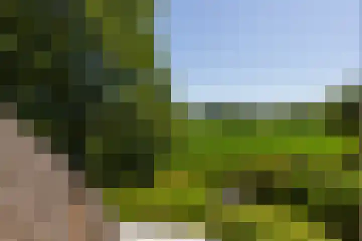 Beusebergerweg 31 Holten thumbnail 52