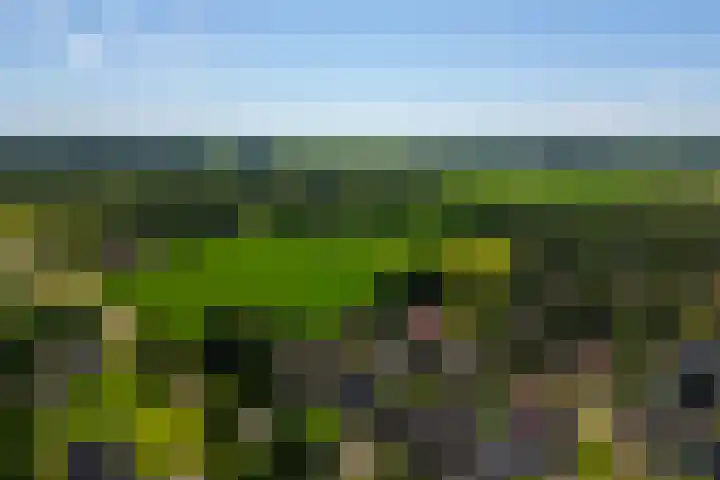 Beusebergerweg 31 Holten thumbnail 62
