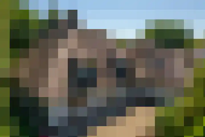 Beusebergerweg 31 Holten thumbnail 63