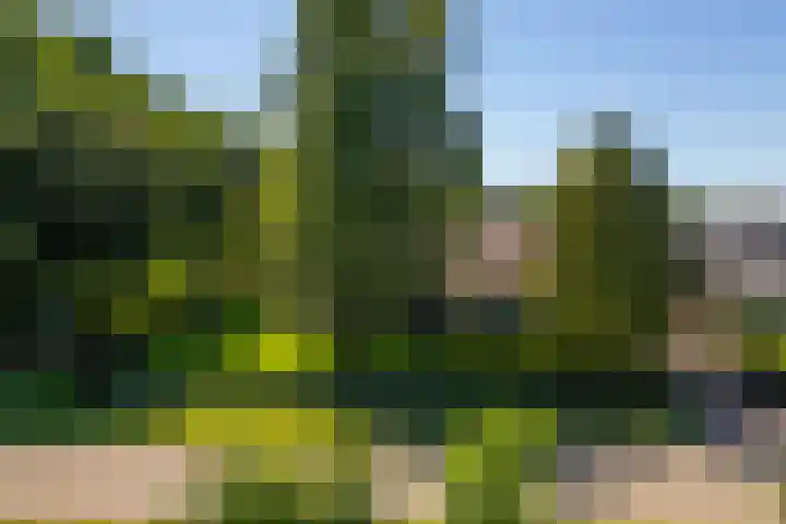Beusebergerweg 31 Holten thumbnail 64