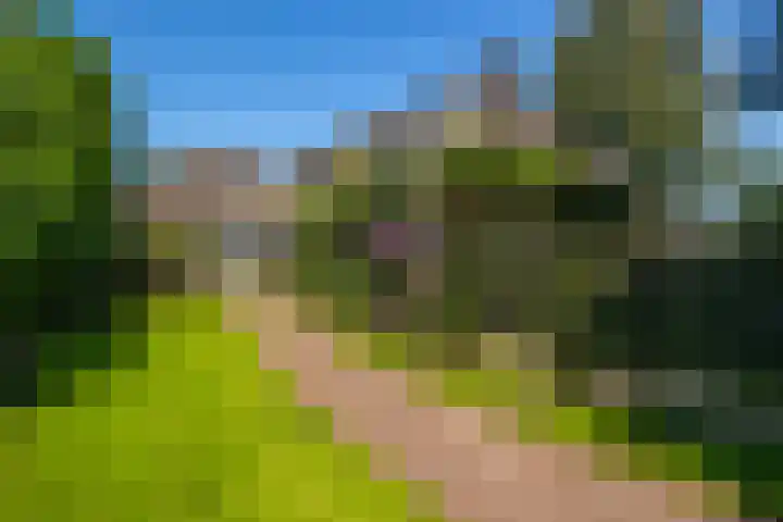Beusebergerweg 31 Holten thumbnail 65