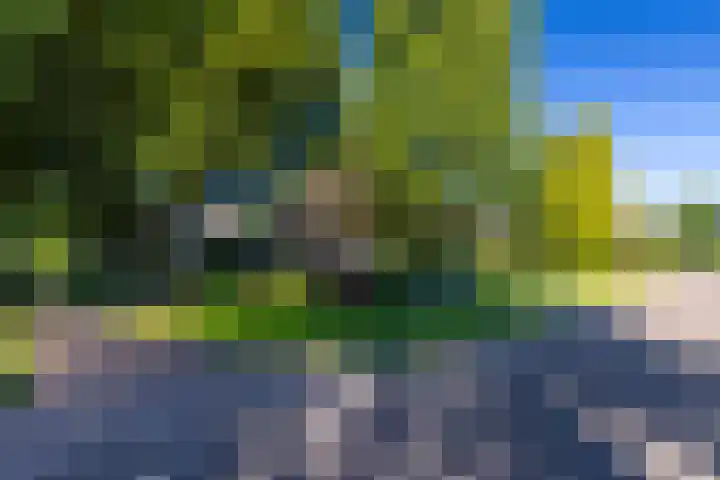 Beusebergerweg 31 Holten thumbnail 79