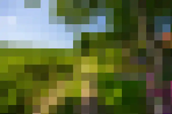 Beusebergerweg 31 Holten thumbnail 80