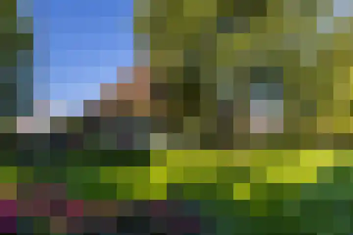 Beusebergerweg 31 Holten thumbnail 82