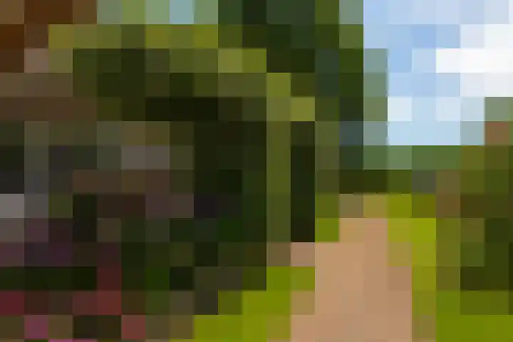 Beusebergerweg 31 Holten thumbnail 87