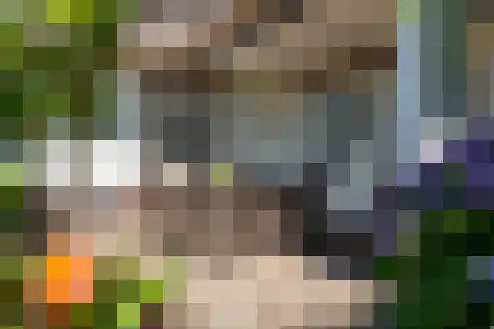 Beusebergerweg 31 Holten thumbnail 89