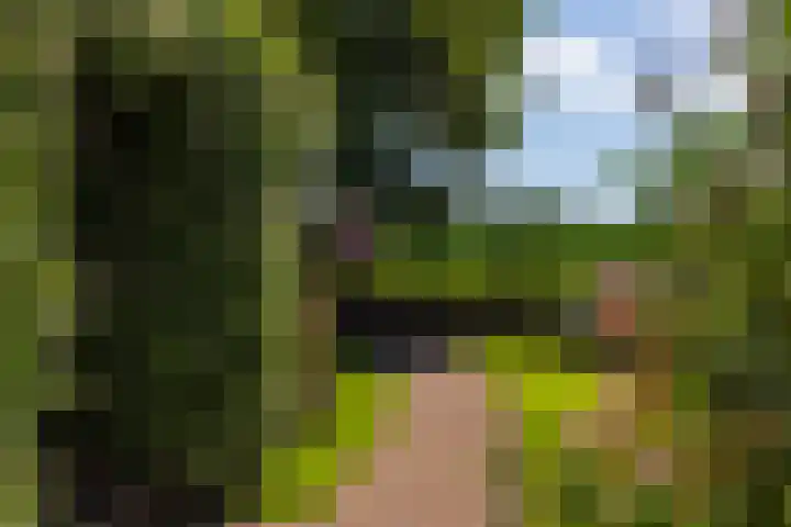Beusebergerweg 31 Holten thumbnail 91