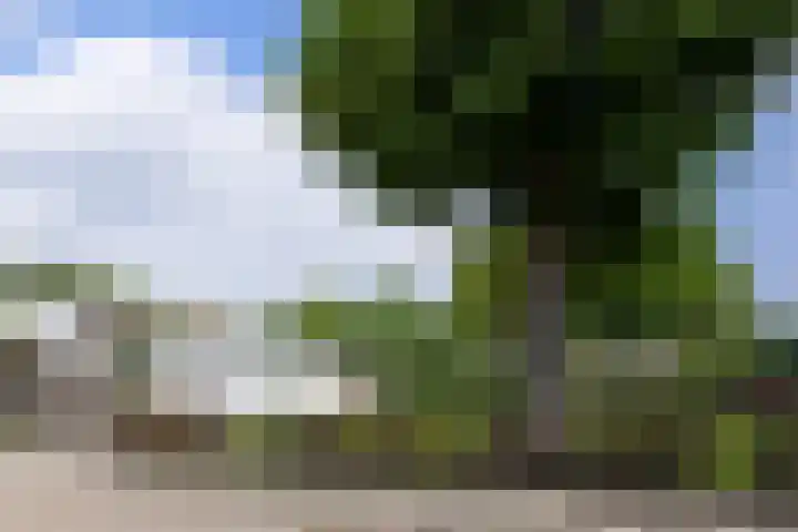Beuteweg 27 Landgraaf thumbnail 18