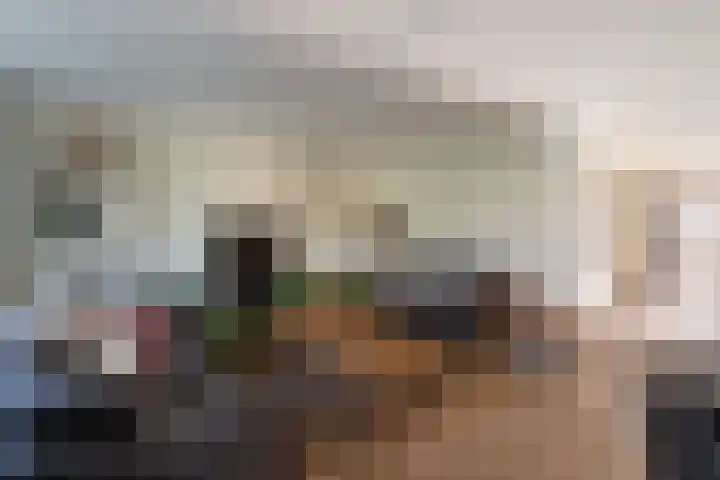 Beveland 3 Emmeloord thumbnail 17
