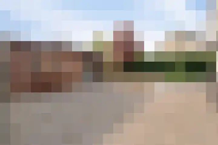Beveland 3 Emmeloord thumbnail 30