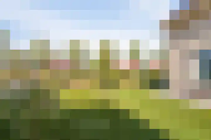 Beveland 3 Emmeloord thumbnail 39