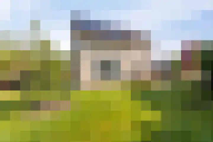 Beveland 3 Emmeloord thumbnail 40