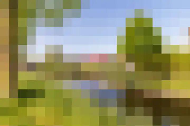 Beveland 3 Emmeloord thumbnail 5