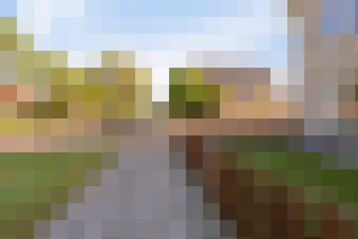 Beveland 3 Emmeloord thumbnail 6