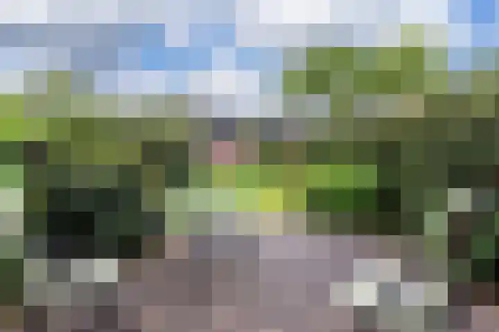 Beveland 98 Haarlem thumbnail 20