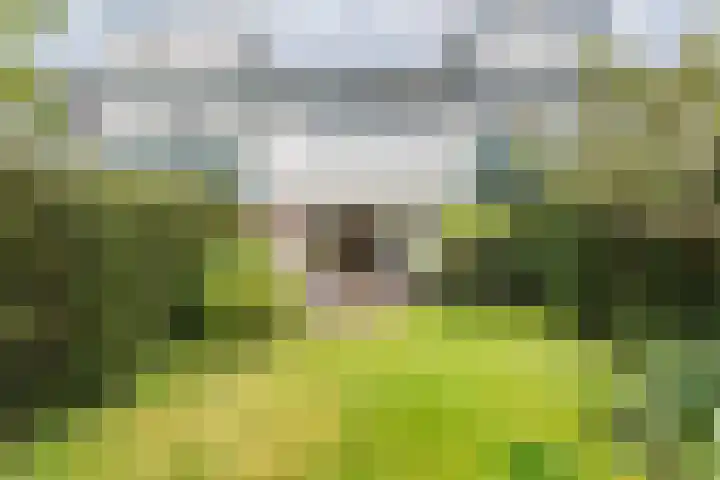 Beveland 98 Haarlem thumbnail 21