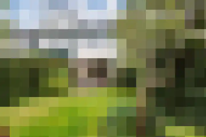 Beveland 98 Haarlem thumbnail 22