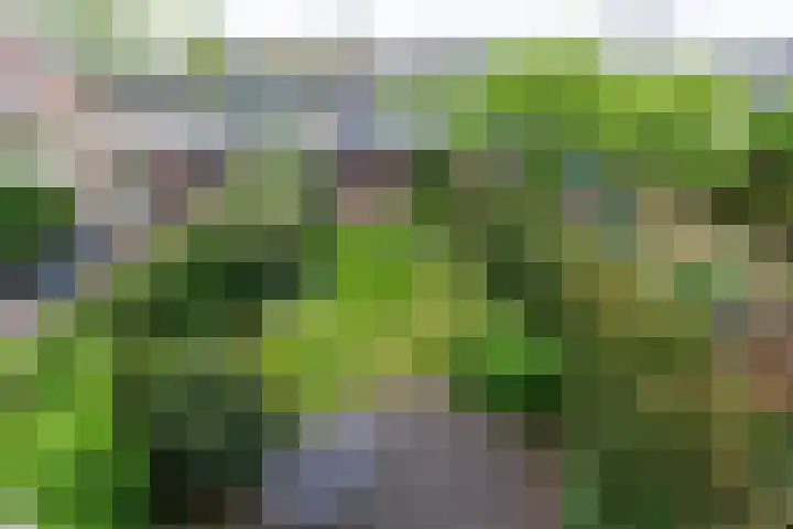 Beveland 98 Haarlem thumbnail 23