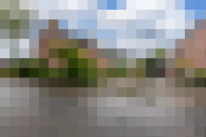 Beveland 98 Haarlem thumbnail 42