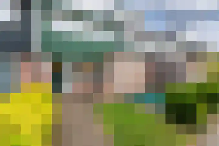Beveland 98 Haarlem thumbnail 49