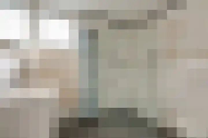 Bevelandstraat 11 Duiven thumbnail 38