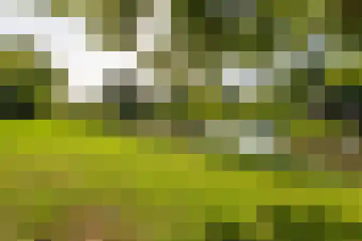 Bevelandstraat 11 Duiven thumbnail 69