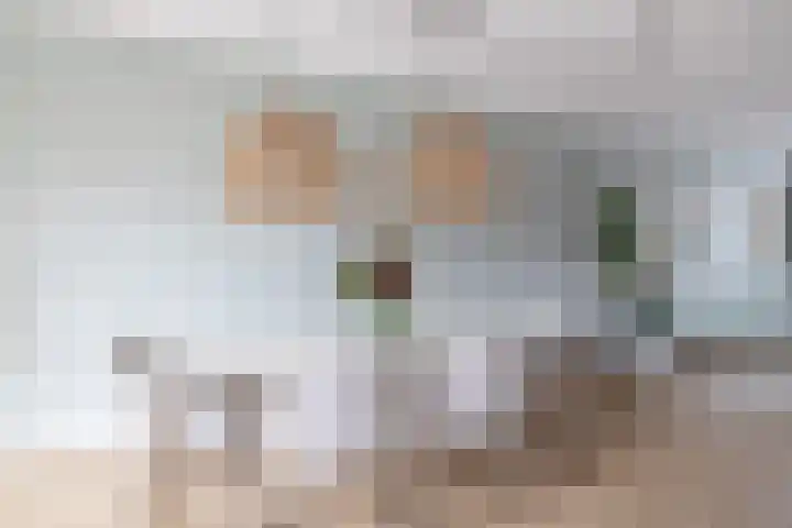 Bever 33 's-Gravenzande thumbnail 14