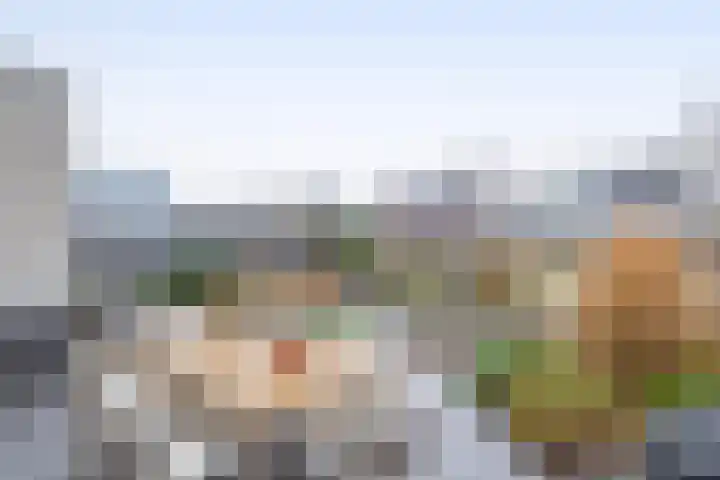 Bever 33 's-Gravenzande thumbnail 22