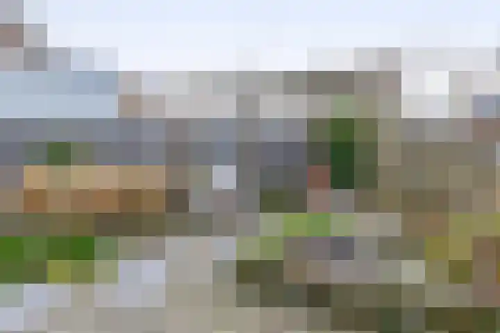 Bever 33 's-Gravenzande thumbnail 23