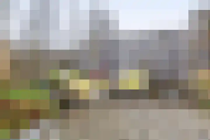 Bever 33 's-Gravenzande thumbnail 24