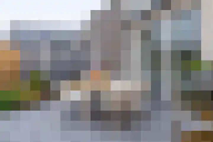 Bever 33 's-Gravenzande thumbnail 25